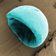 Una imagen coloreada de un “microbowl” biodegradable que podría administrar medicamentos de manera mucho más eficiente. Por Tayo Sanders II – Universidad de Oxford. (Imagen: EPSRC)